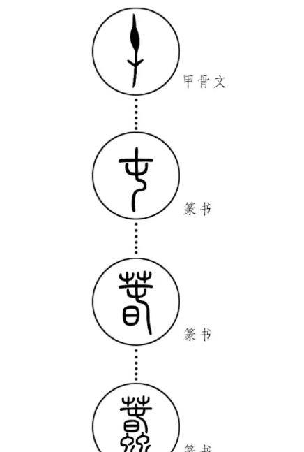 全网“最冷门专业”的95后博主，在抖音教甲骨文爆火出圈