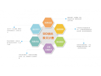 seo按天计费客户常见问题应对策略案例